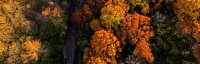 Centering People During Organizational Change and Transition (2-Part Series) image