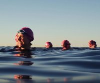 Natation en eau libre, focus crawl & brunch image
