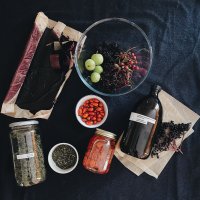 Autumn Herbal Wildcrafting image
