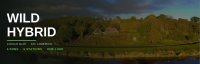 Lough Gur Wild Hybrid image