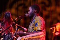 Monthly World Music Series image