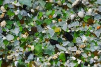 Class | Imagine, Inspire, Create! | Mystic Sea Glass Jewelry image