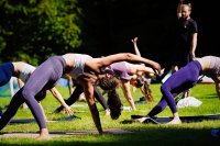 Conscious Summer Celebration image