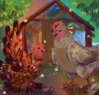 Growhampton Chicken Volunteer Training image