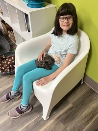 Camp Purrs 2026 image