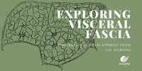 Exploring Visceral Fascia - Melbourne image