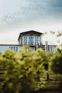 Fields of Flavor - A Farm to Table & Wine Experience image