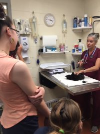 Future Vet Academy image