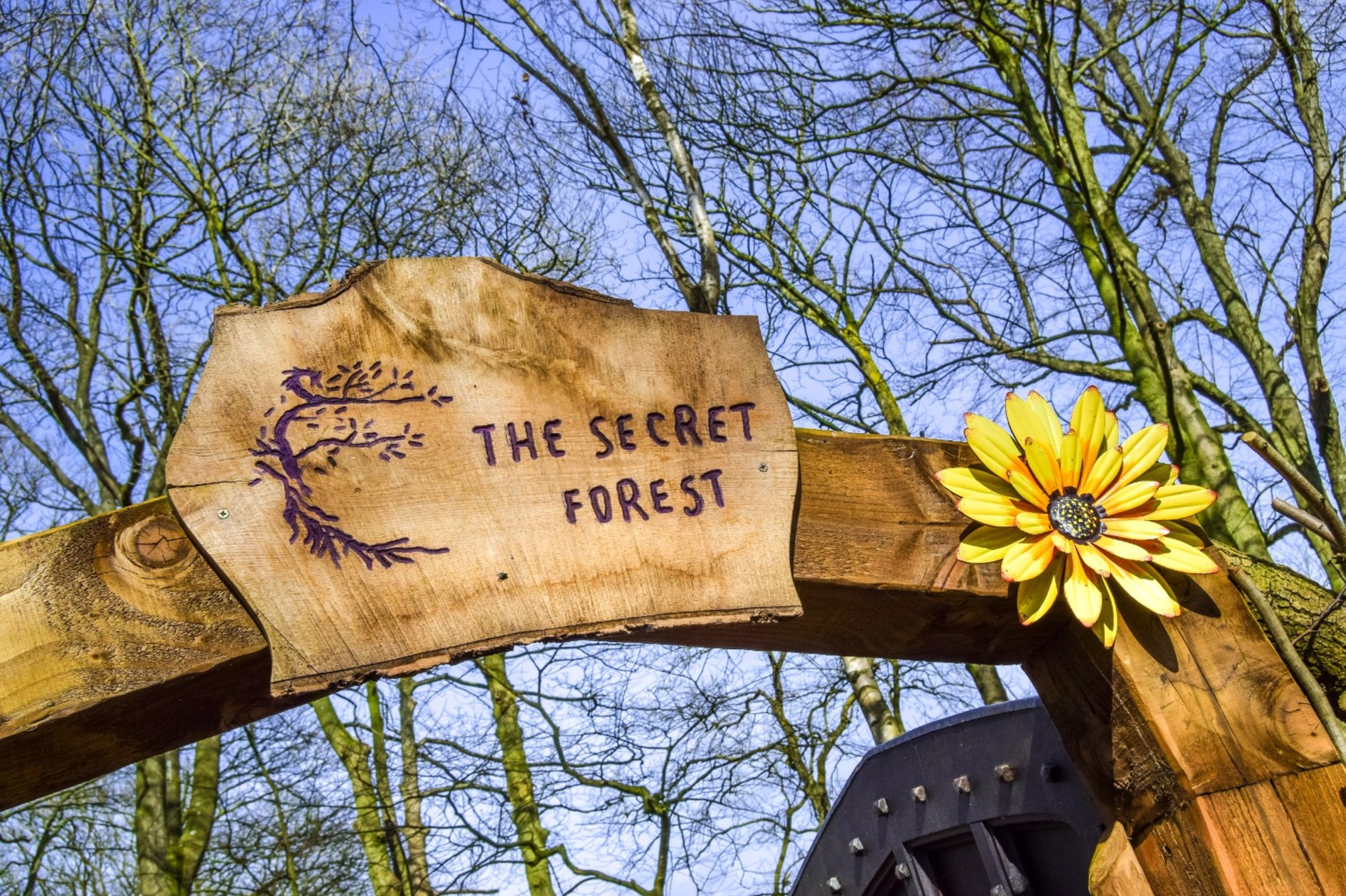 Buy tickets – The Secret Forest 2026 – The Secret Forest