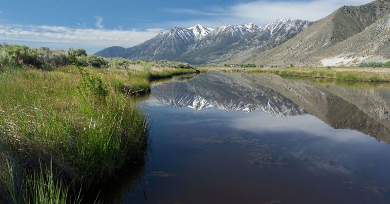 Select tickets – The Nature Conservancy - Nevada | Guided Walk at the ...