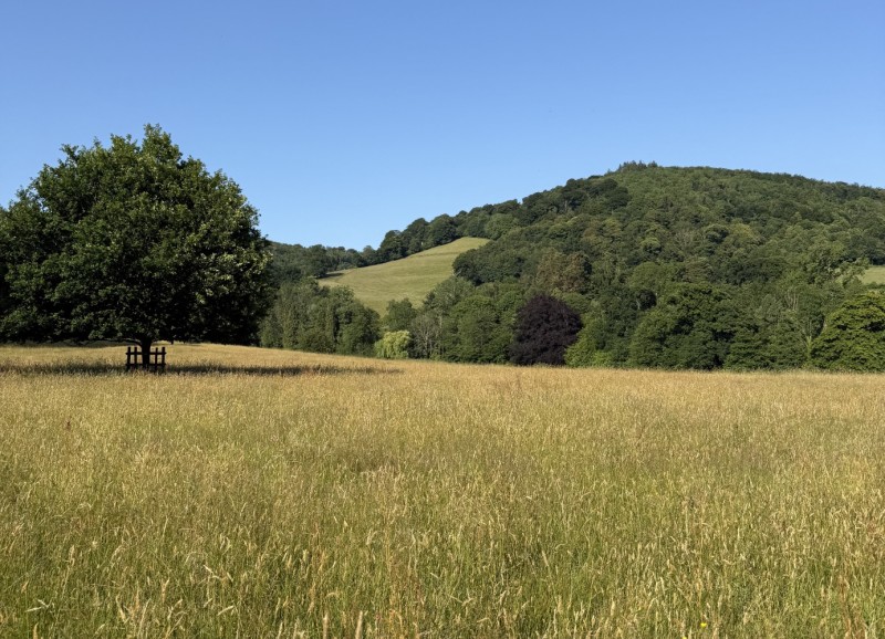 Buy tickets – Cothelstone Estate Woodland Tour – Manor Farm, Cothelstone