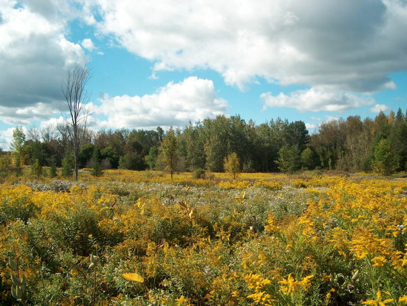 Select tickets – Ontario Nature Fall Member Event at Cawthra Mulock ...