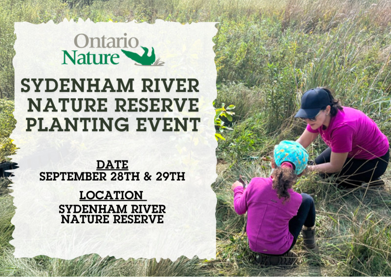 Select tickets – Planting Event at Sydenham River Nature Reserve