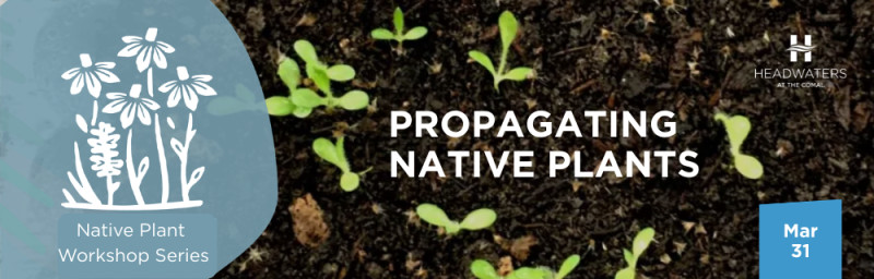 Sign up! – Propagating Native Plants – Headwaters at the Comal