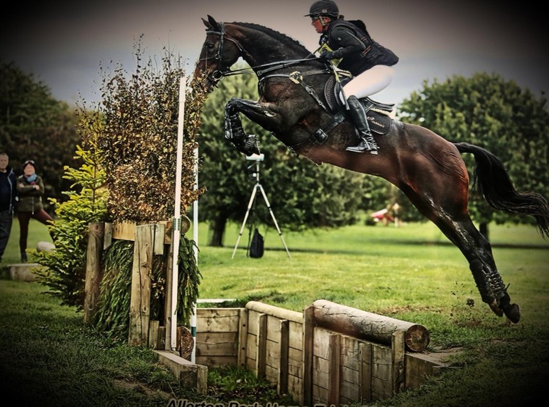 Buy tickets – Comprehensive Coaching Techniques for Equestrian Coaches ...
