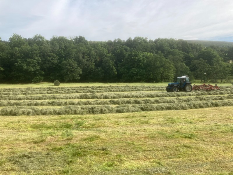 Get your ticket – Hope Countryside 'Day on the Farm' – Southfields Farm ...