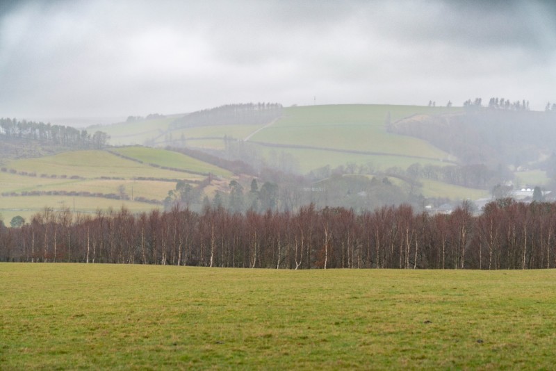 Select tickets – From Trees to Timber: Managing Your Woodland Asset ...