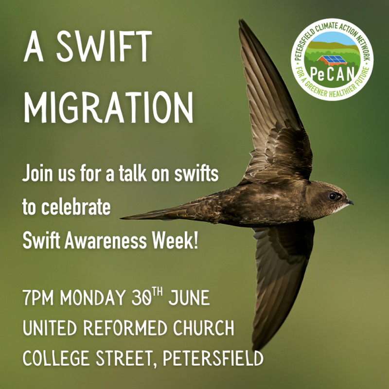 Select tickets – A Swift Migration – Petersfield United Reformed Church