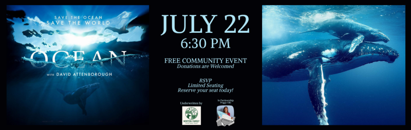 Sign Up at Door – Ocean with David Attenborough – The Alcazar Theatre