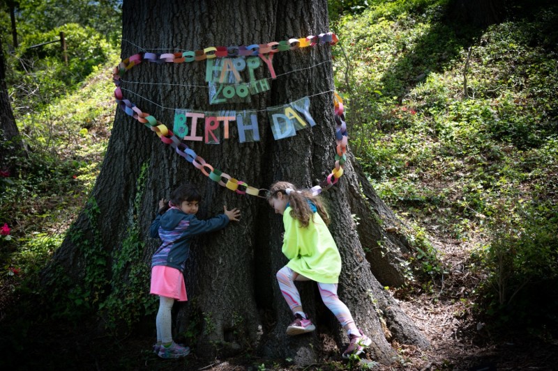 Select tickets – A Tree Birthday Party - Sunday – Historic London Town ...