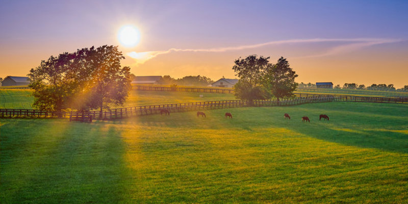 Select tickets – 2026 Brock Associates Summer Seminar - Thompson IA ...