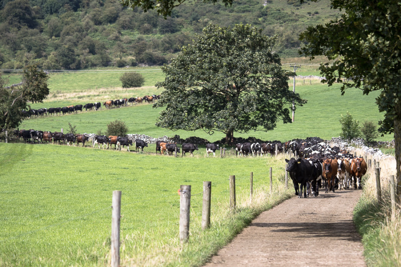 Select tickets – Spring Farm Walk 2026 – Robert Thornhill, Standhill ...