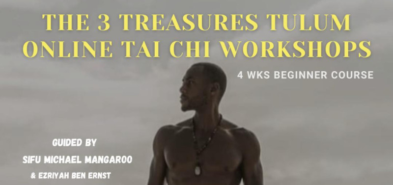 Select tickets – The 3 Treasures Tulum - Online Tai Chi Workshops – Zoom