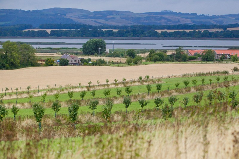 Select tickets – Thinking about agroforestry? Silvopastural and ...