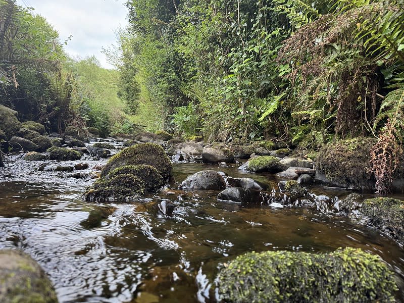 Sold out – Cork (Awbeg & Shournagh) - Waters of LIFE Habitat Training ...