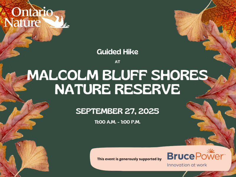 Select tickets – Fall Hike at Malcolm Bluff Shores Nature Reserve
