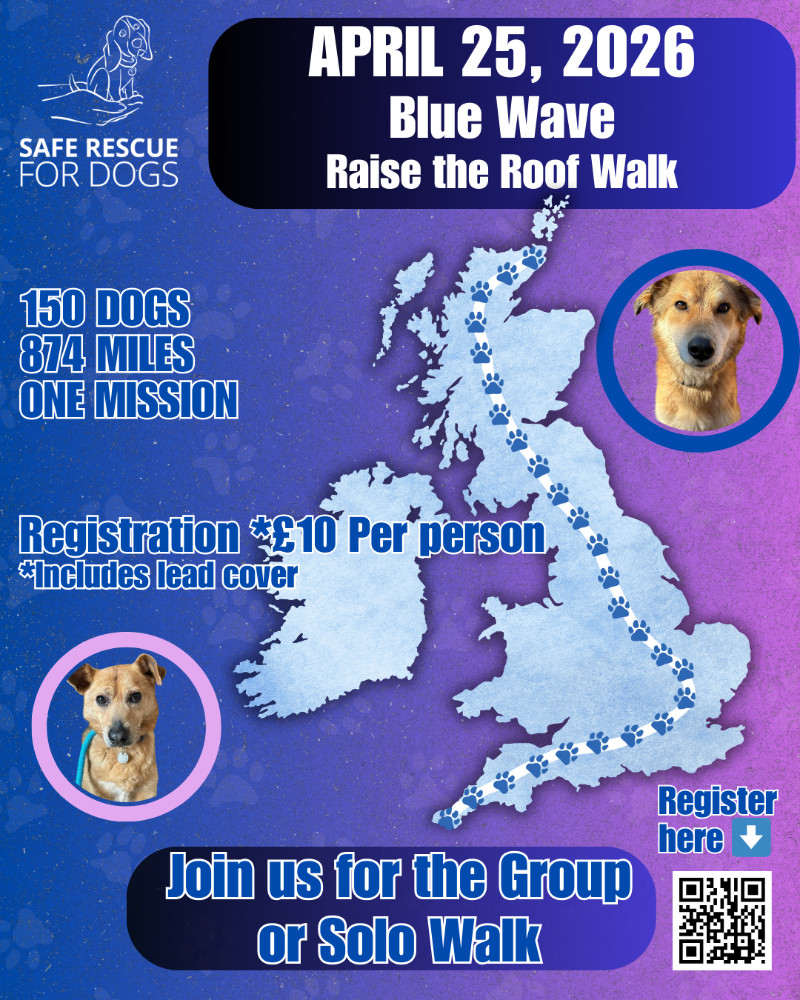 Register – Safe Rescue for Dogs : Blue Wave Raise The Roof Dog Walk ...