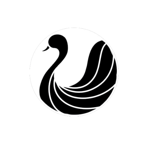 Black Swan Collective