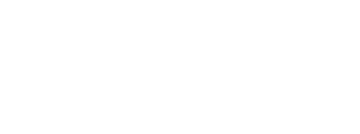 Bonzo Productions
