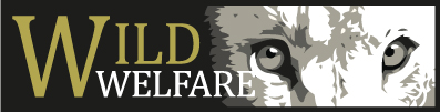 Wild Welfare
