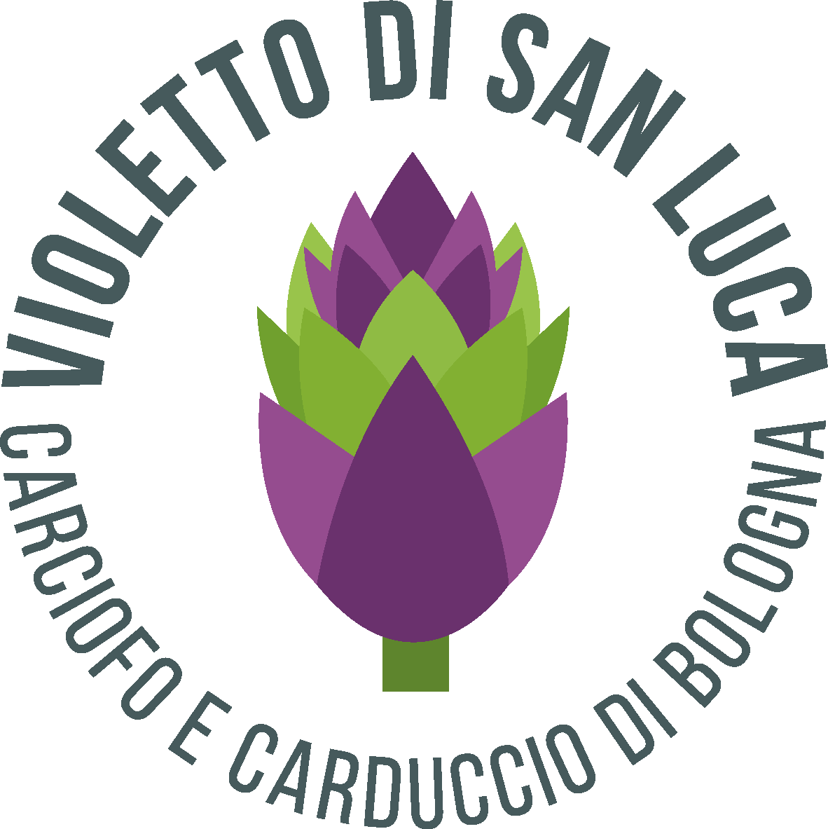 Carciofo Violetto di San Luca