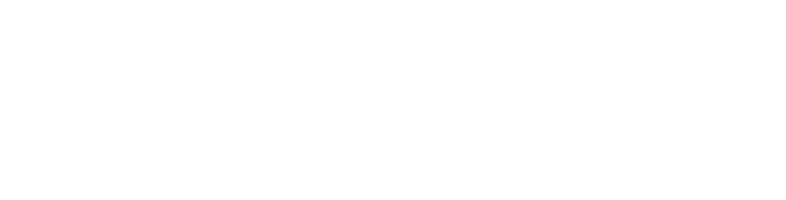 Vicennial Brewing Company