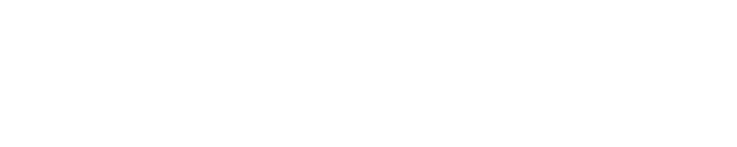 Titan Network