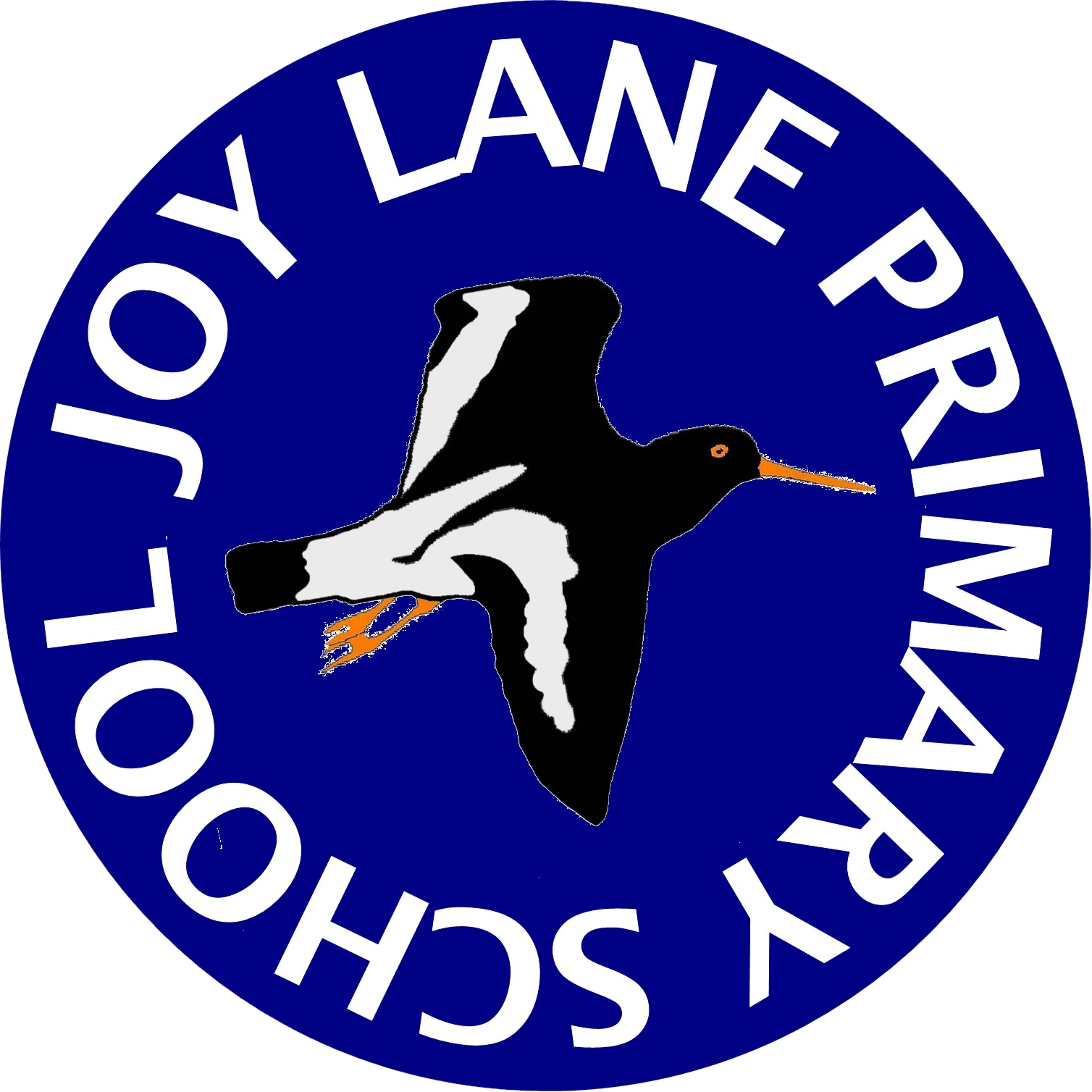 Joy Lane Fireworks 26