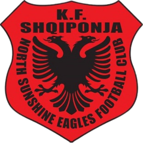NSEFC