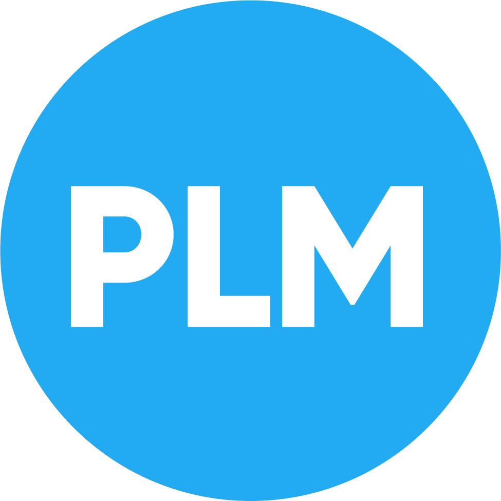 International Employment Lawyer