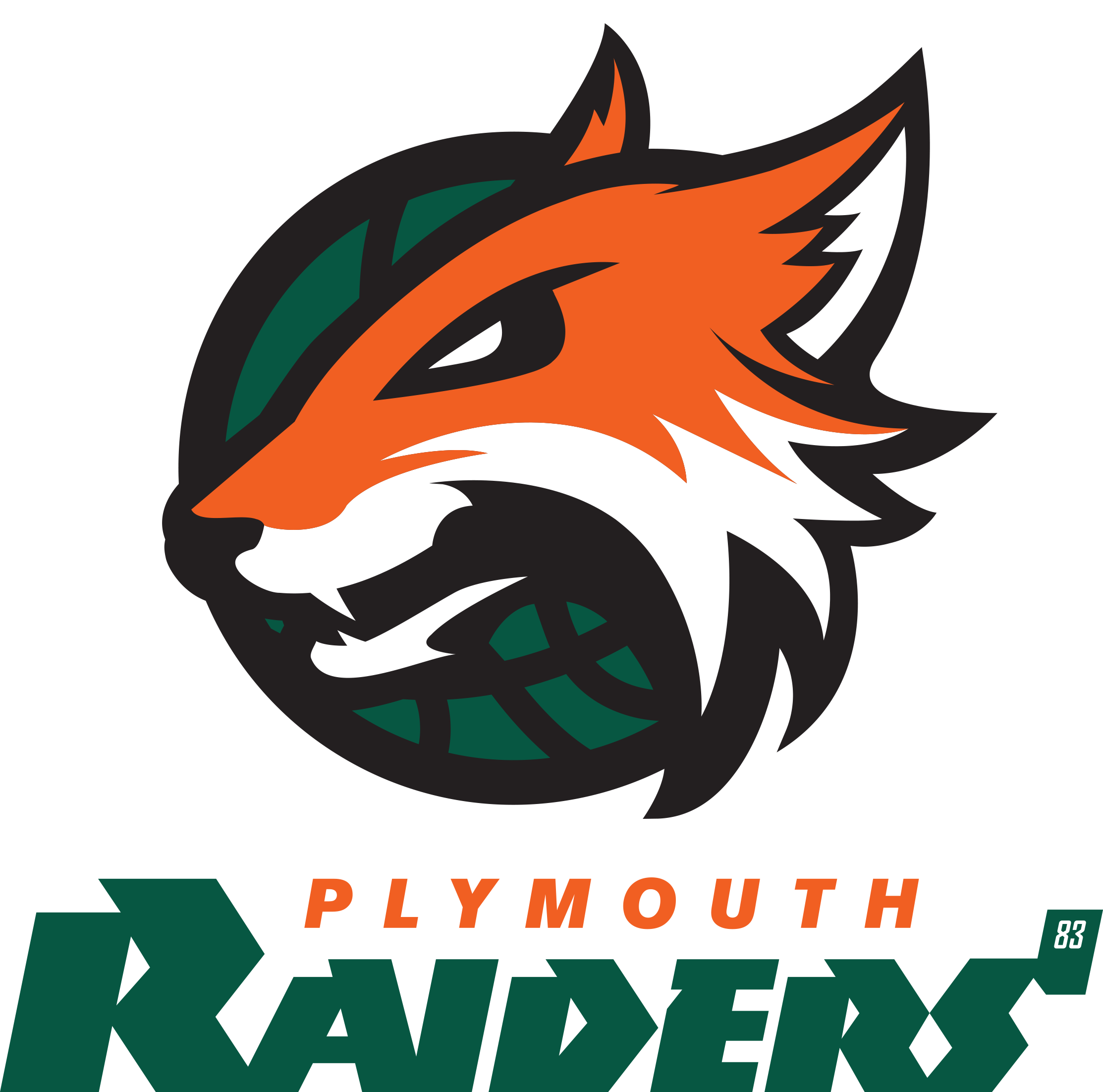 Plymouth Raiders