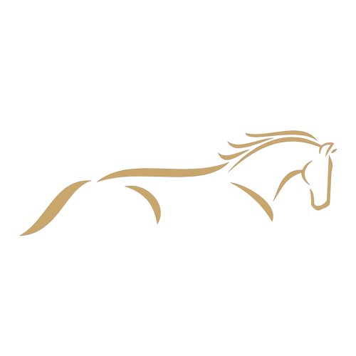 Equine Experiences & The Confident Rider