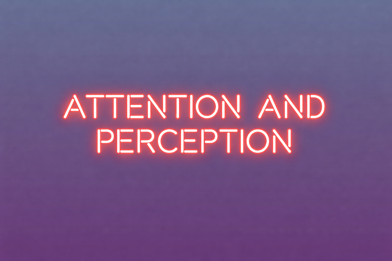 Centre for the Ecologies of Attention and Perception