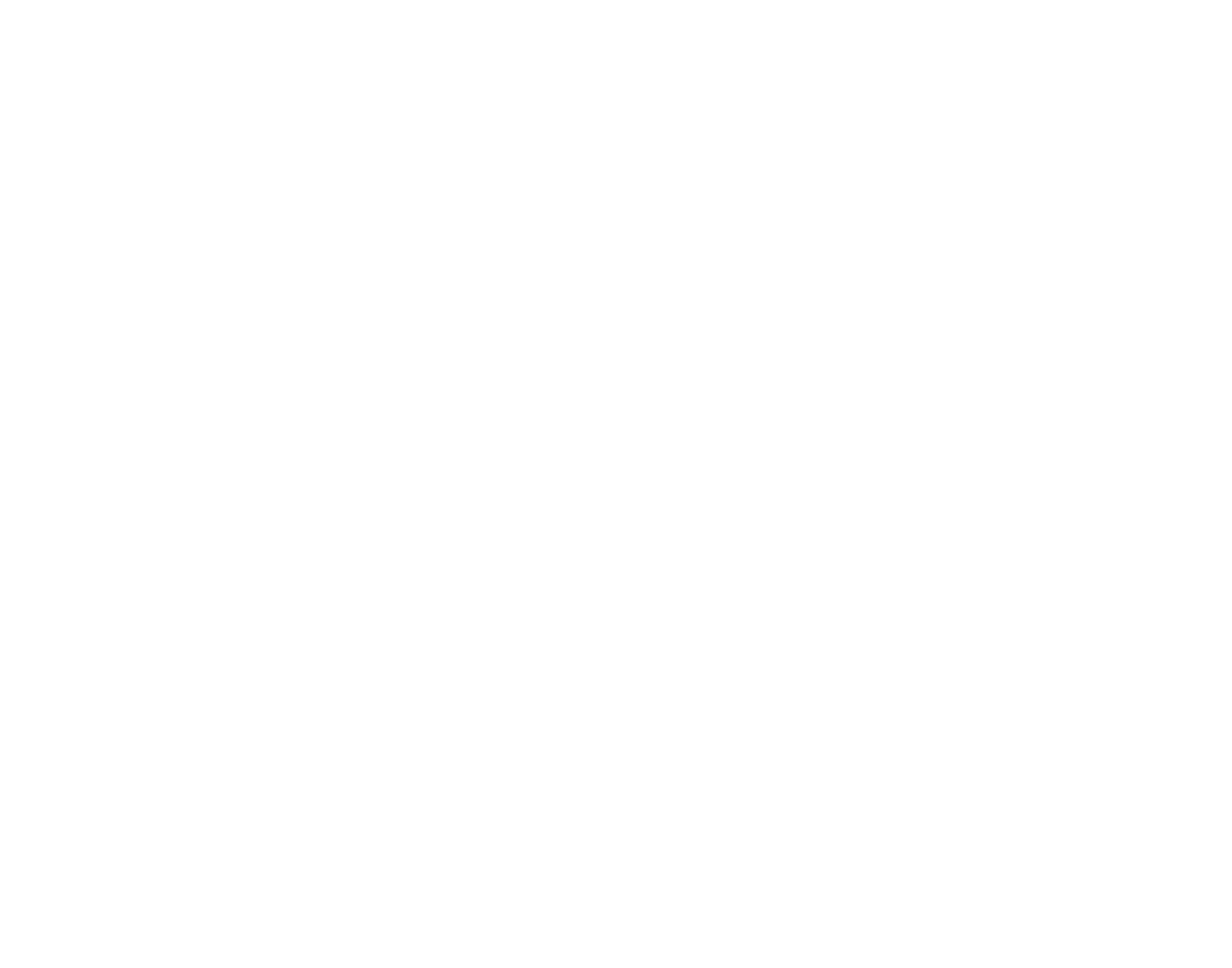 The Ashura Project