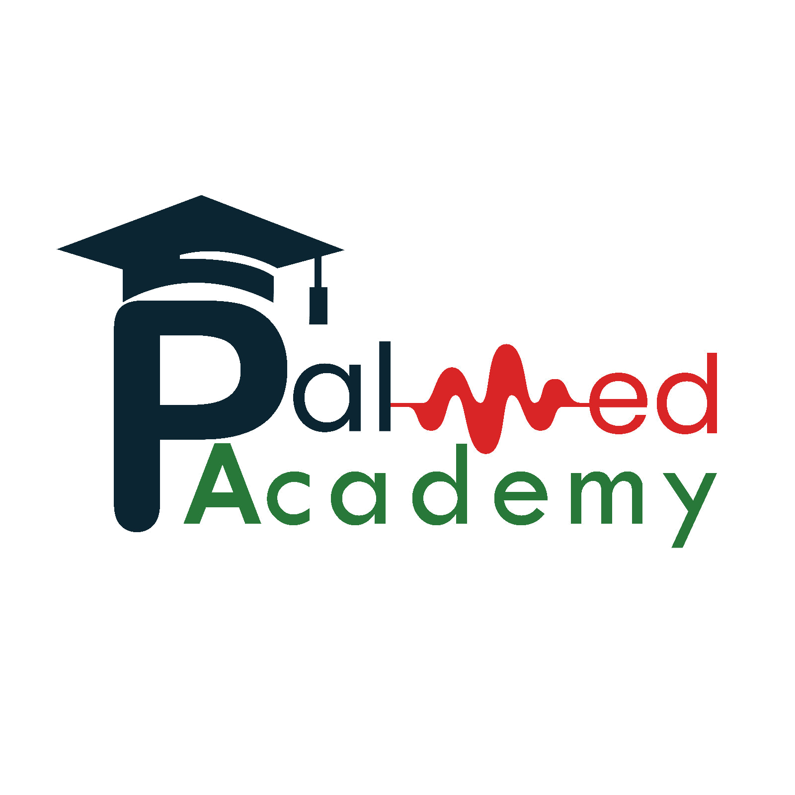 PalMed Academy