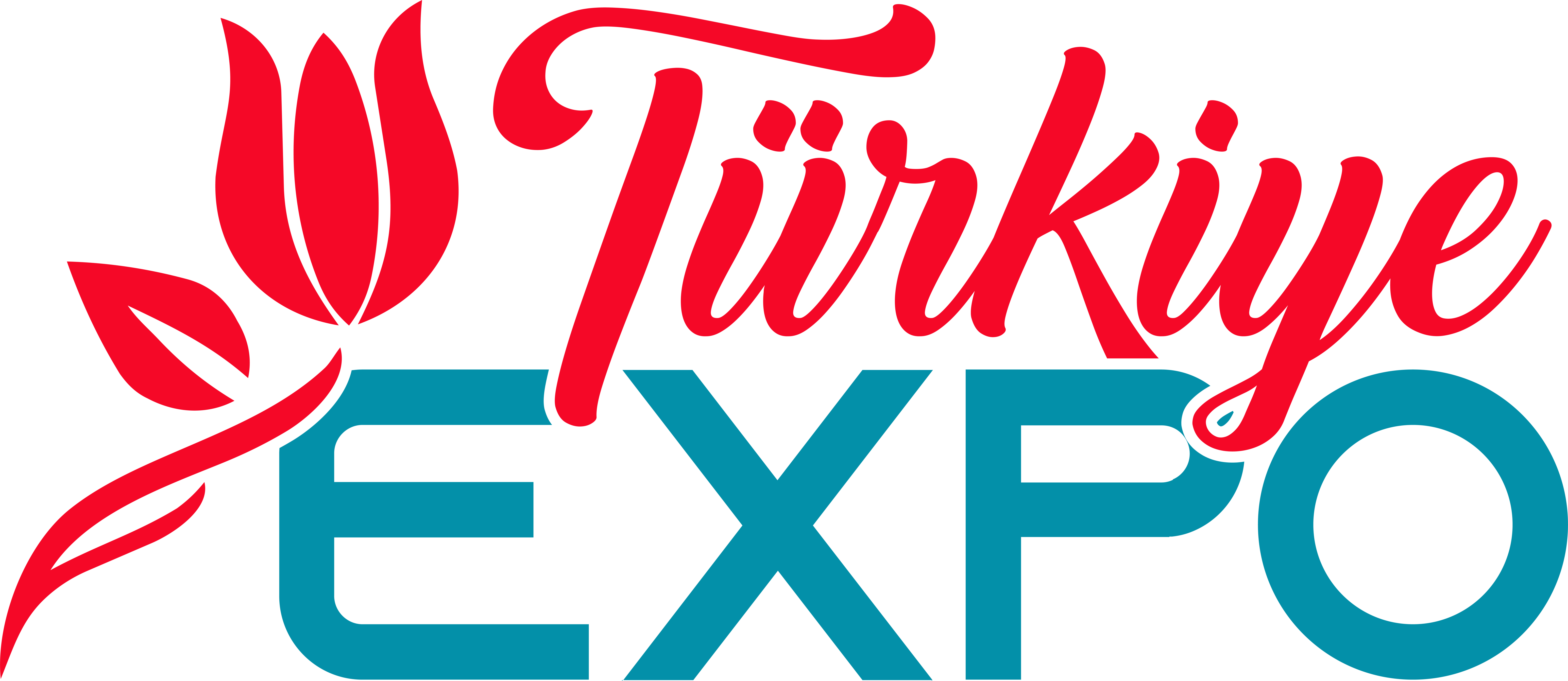 TürkiyeExpo