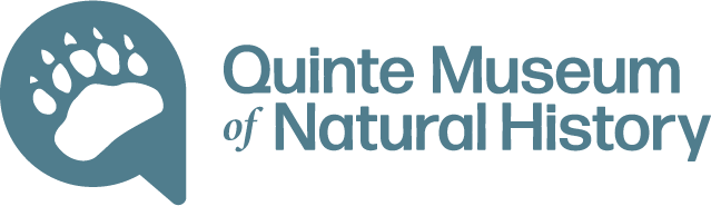 Quinte Museum of Natural History