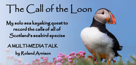 The Call of the Loon