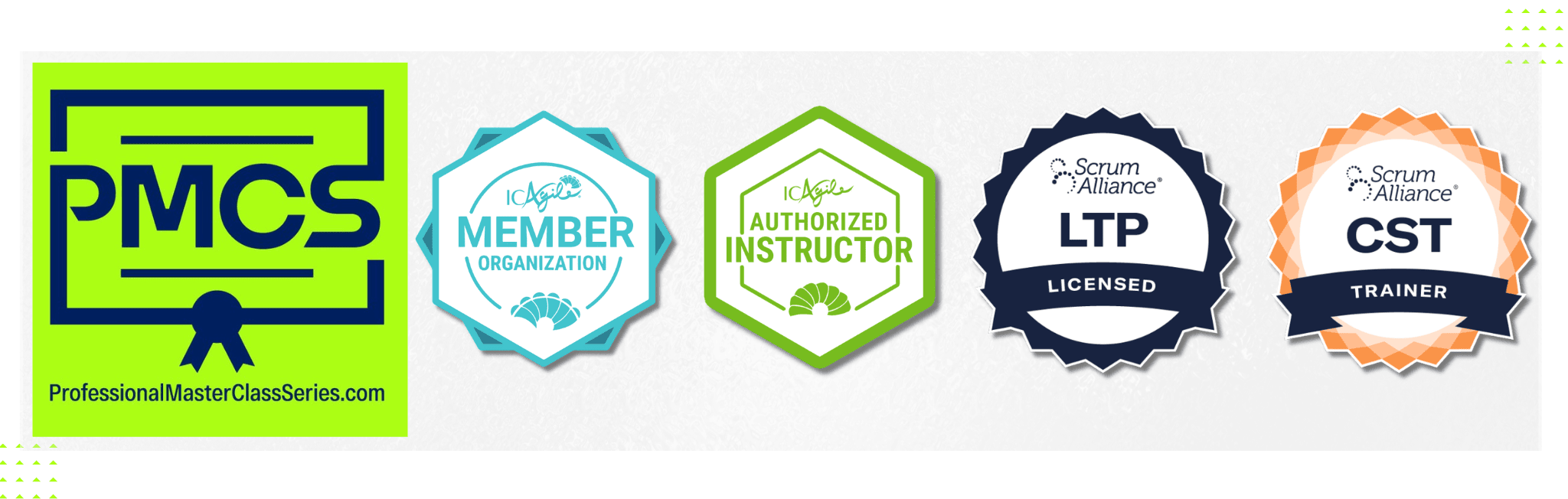 Professional MasterClass Series