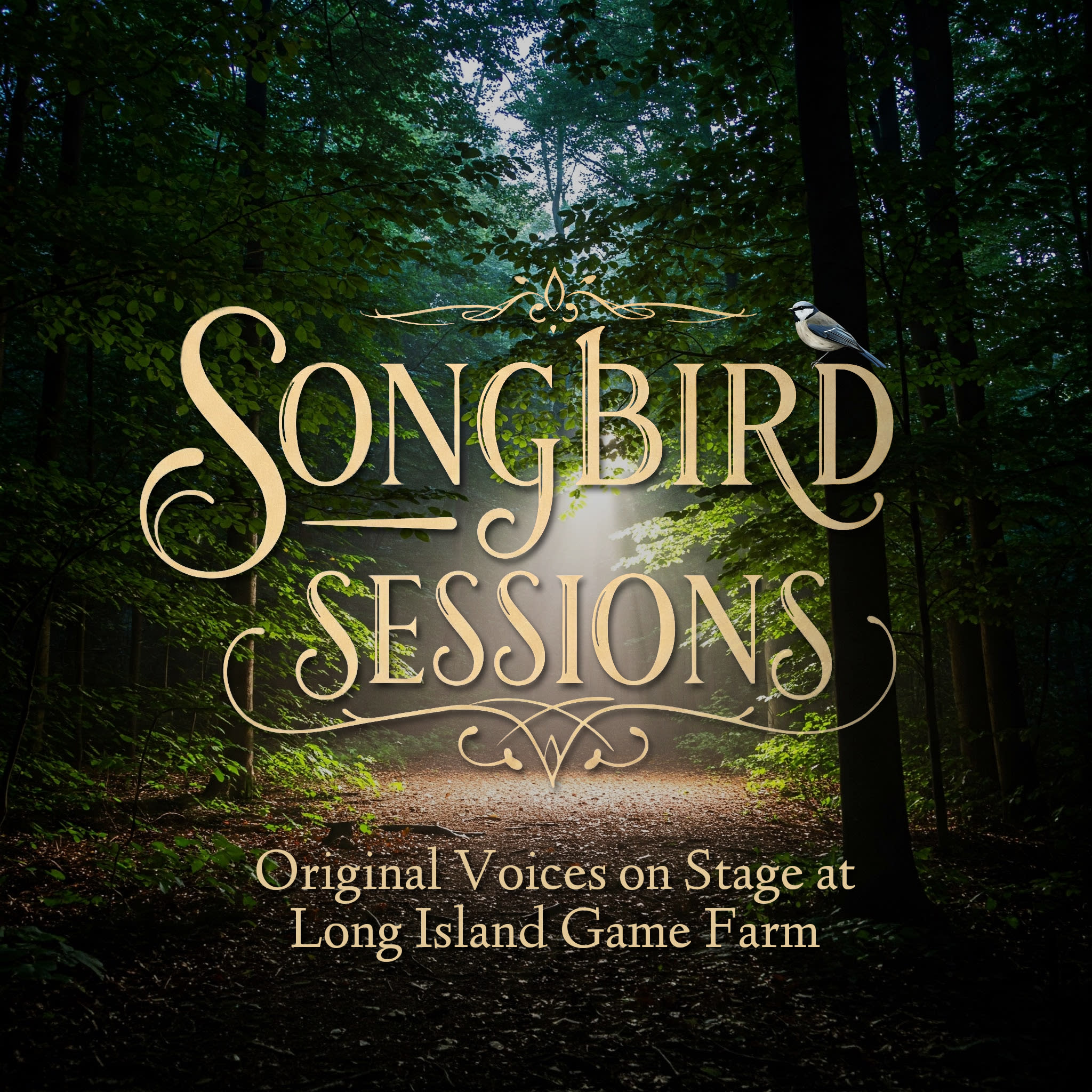 Songbird Sessions presented by Wildlife Sustainability